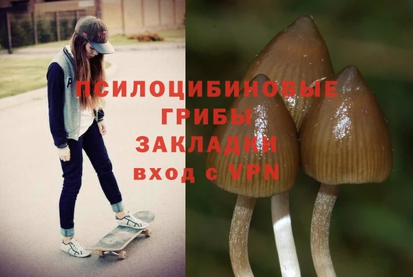 шишки Балабаново